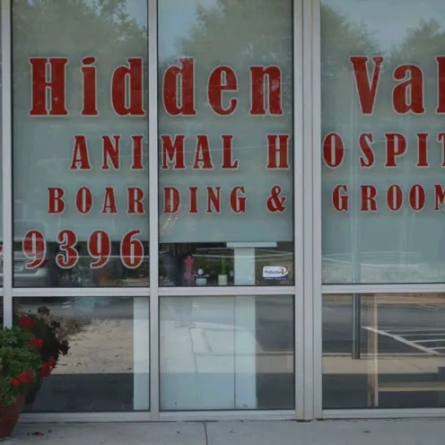 window at Hidden Valley Animal Hospital